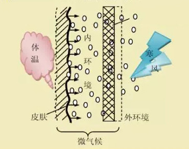 粗纺毛呢面料2